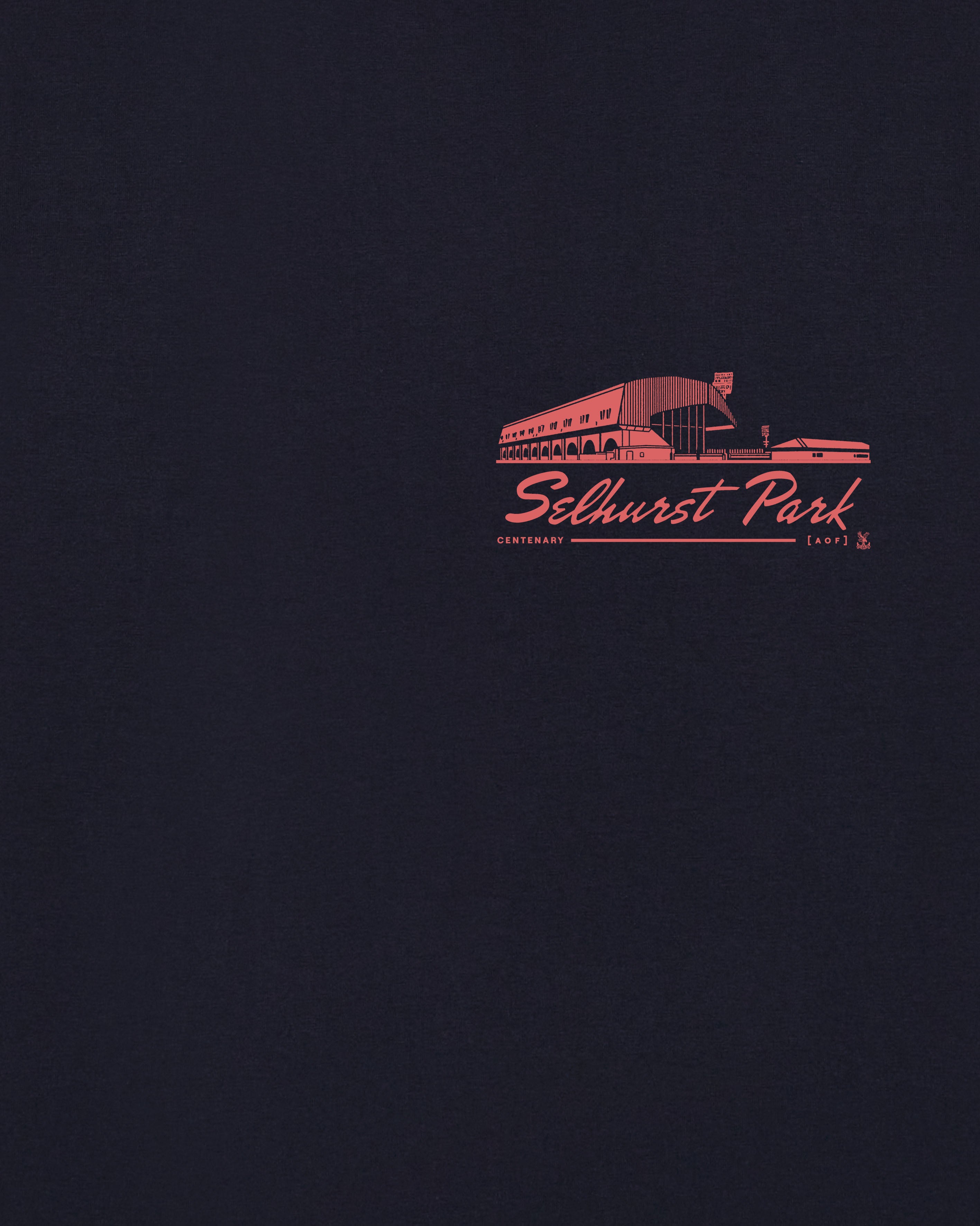 AOF x Crystal Palace Stadium Tee | Navy T-shirt | Art of Football